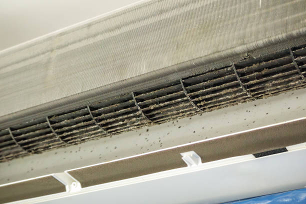 Best Mold and Mildew Removal from Ducts in Chippewa Falls, WI